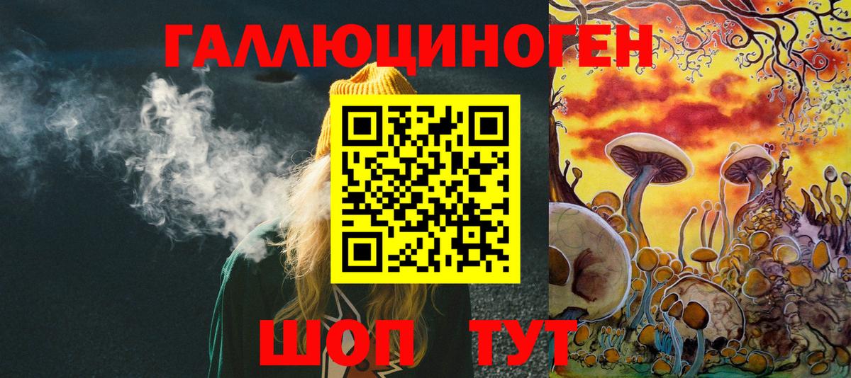 Псилоцибиновые грибы мицелий Сосновый Бор
