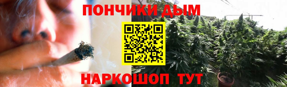 Бошки Шишки AK-47  Канабис ГИДРОПОН  Вход с VPN  Сосновый Бор 